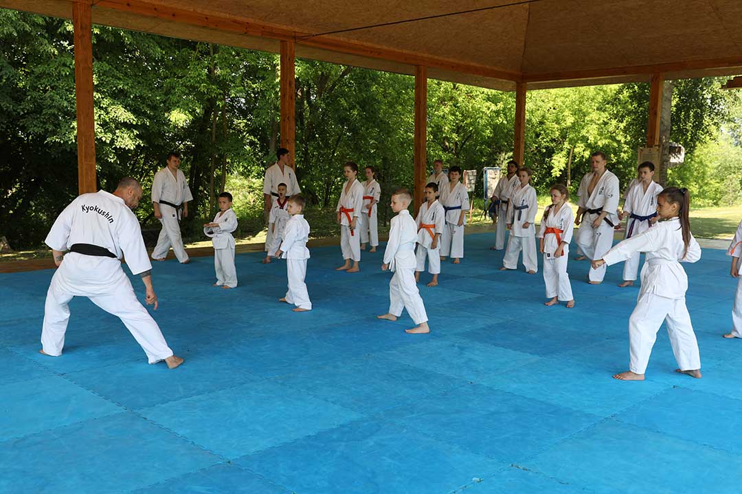karate 3