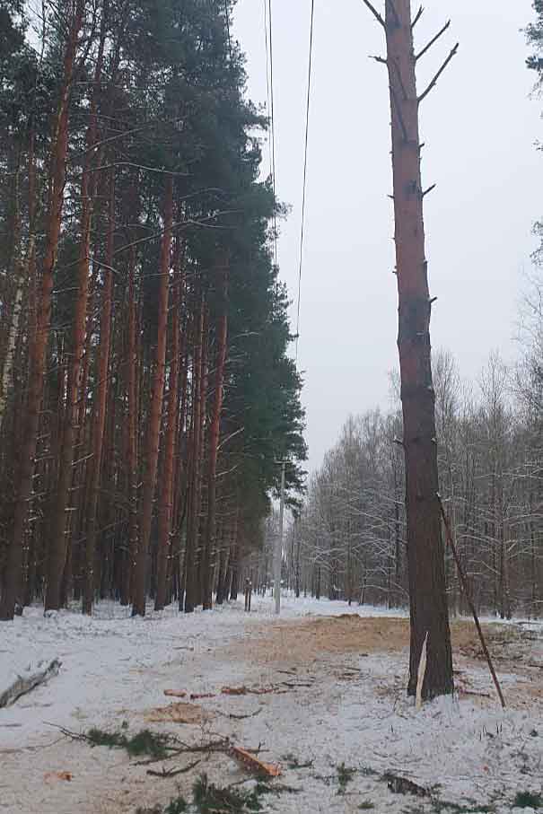 mosenergo gzhel 1