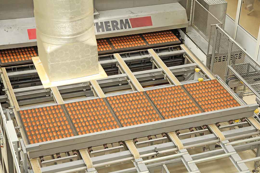 teryushkov smak 3