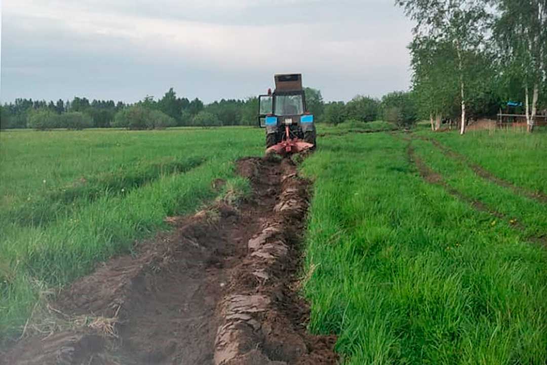 opashka novohariton 4