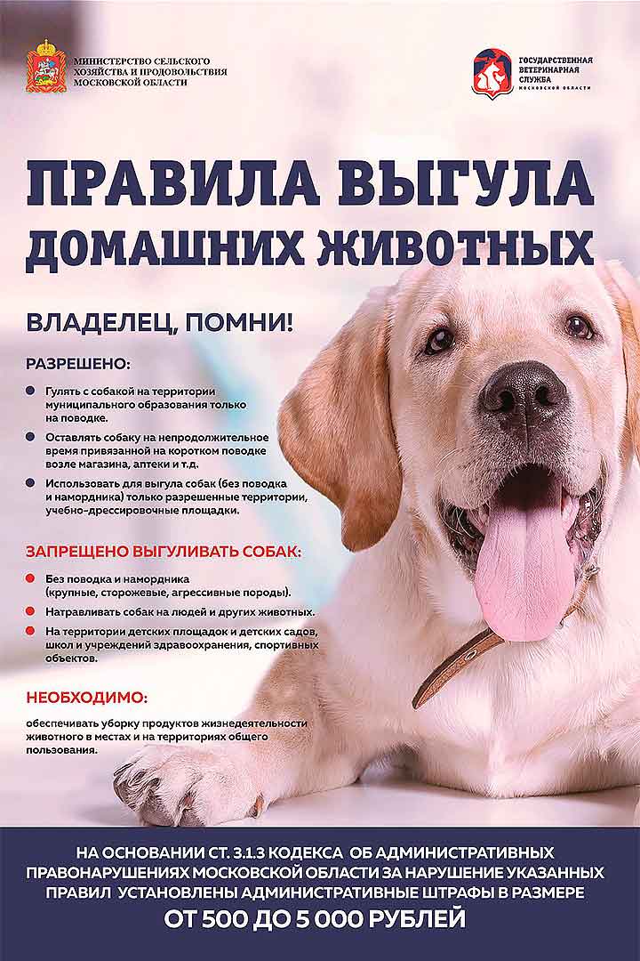 Pravila vygula sobak 1