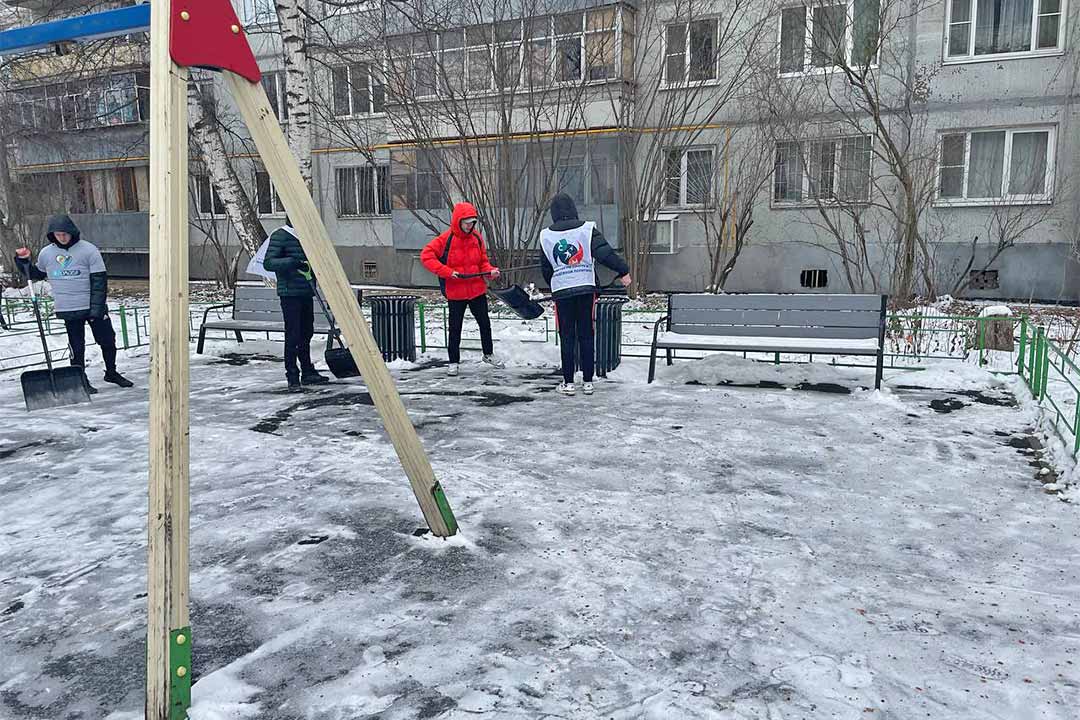 chulkovo uborka DIP 2