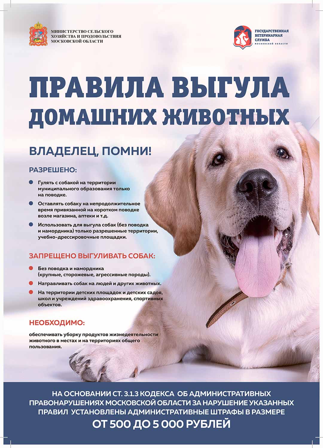 Правила выгулаштрафы