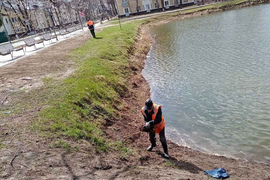 uborka novoharitonovo 3