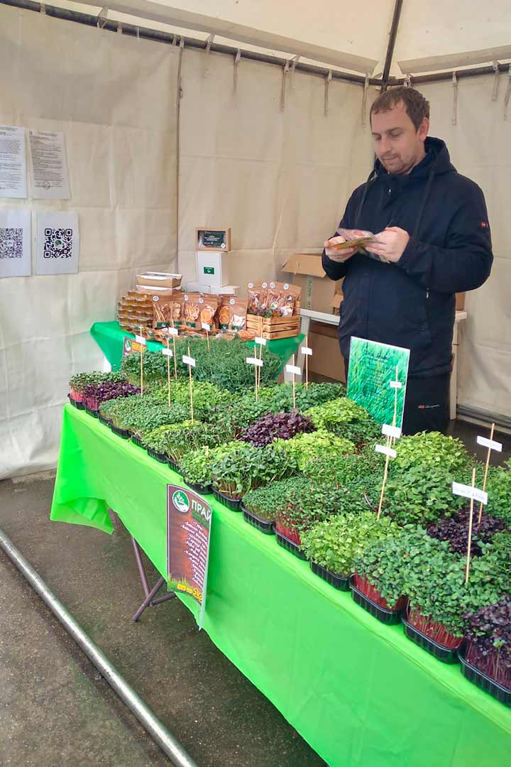 festival den predprinimatelya 6