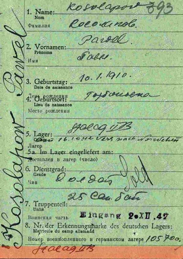 poisk rodnyh kosolapov 1