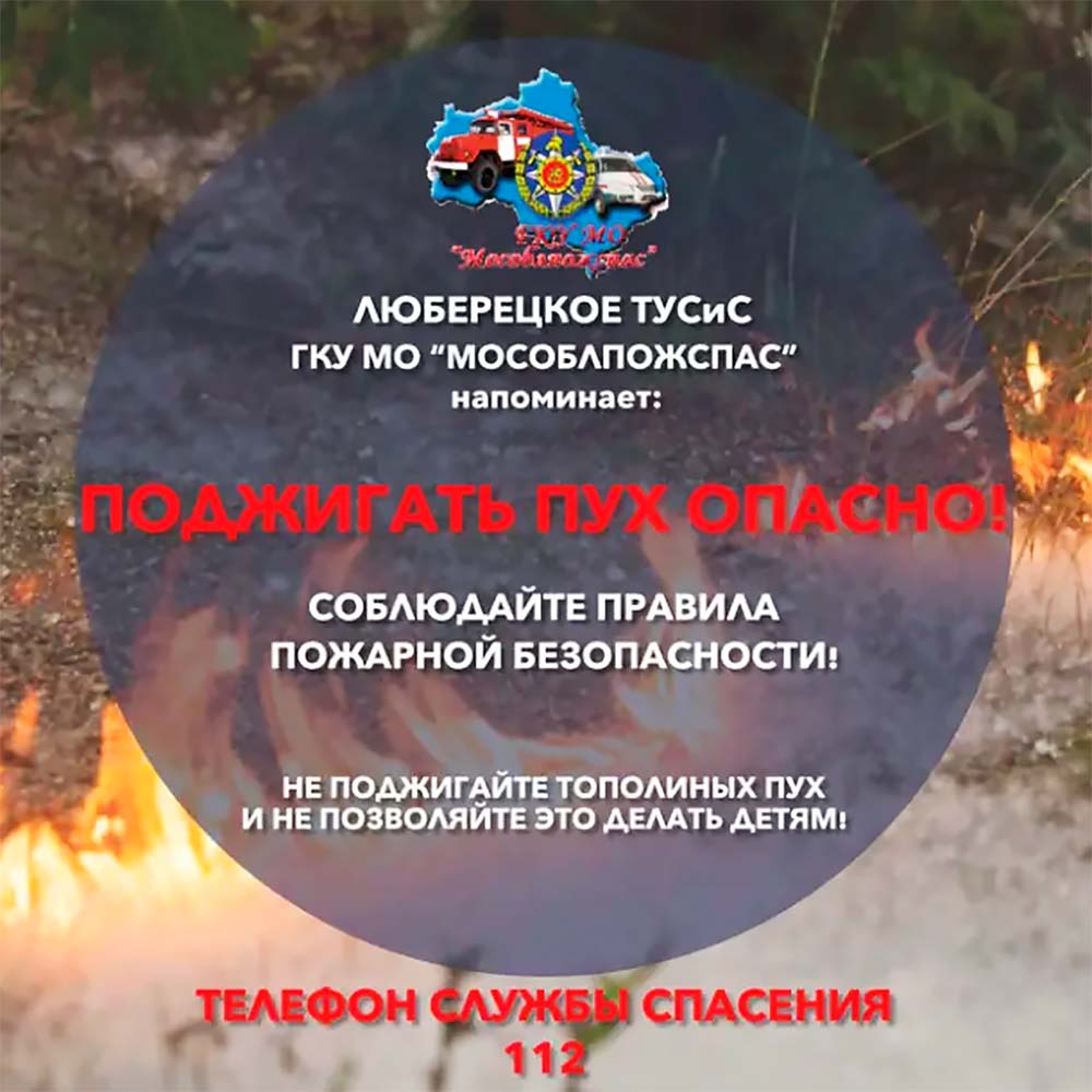 mosoblpojspas pojiganie topolinogo puha