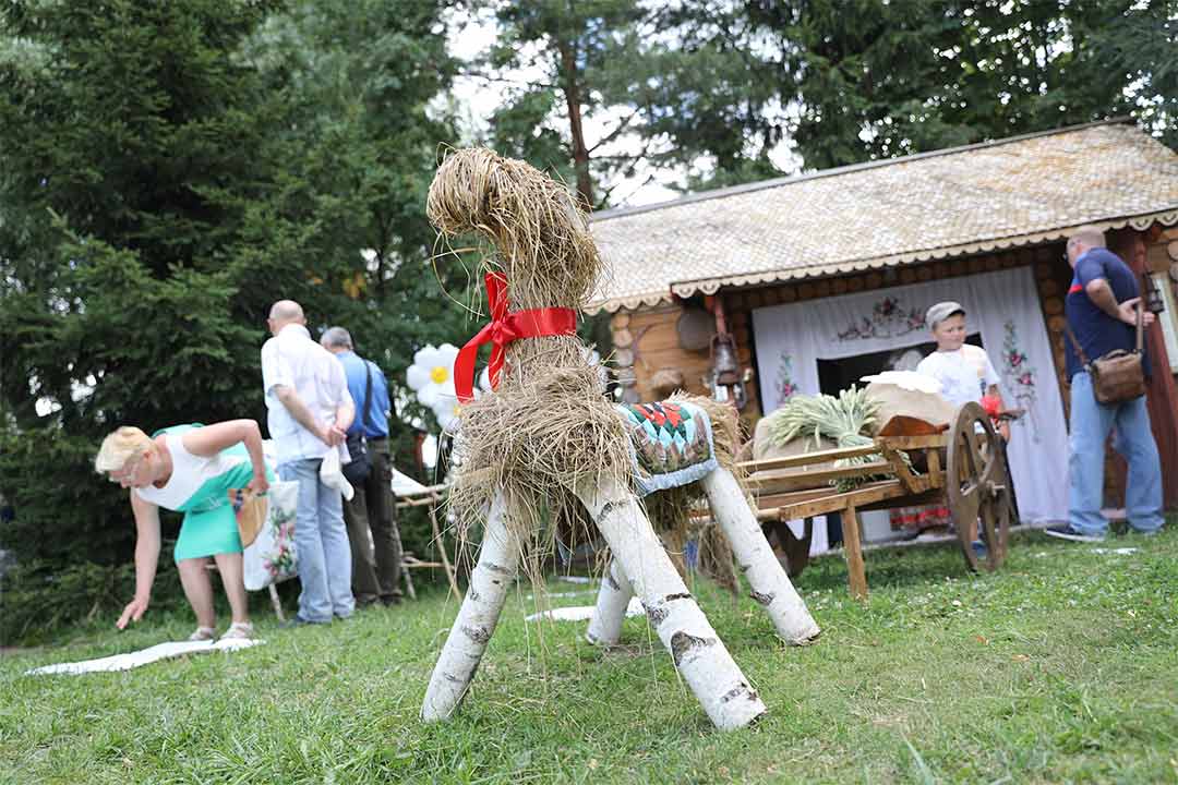 romashkovoe pole 5