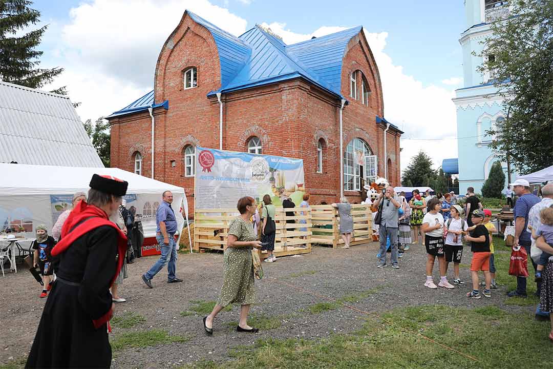romashkovoe pole 7