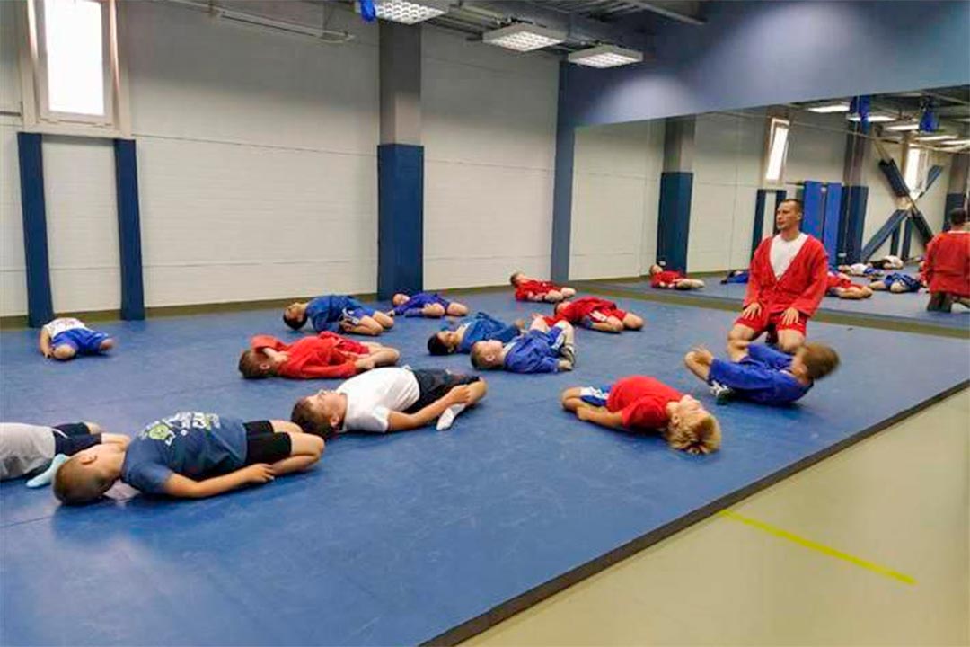 sport sambo 2