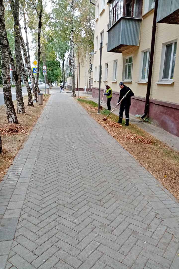 novohariton uborka 1