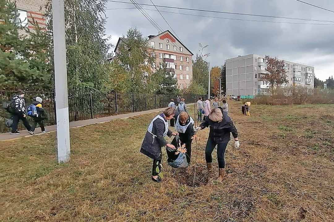 novohariton kuzyaev sosh nash les10