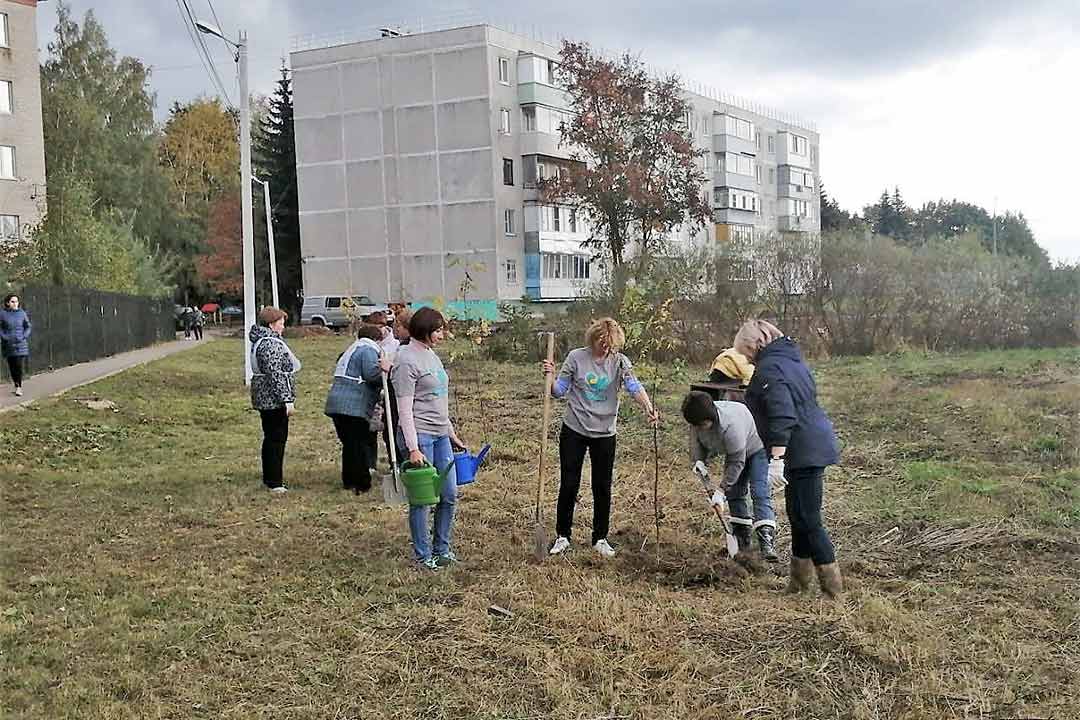 novohariton kuzyaev sosh nash les11
