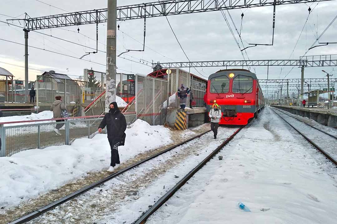 reyd ippodrom 5