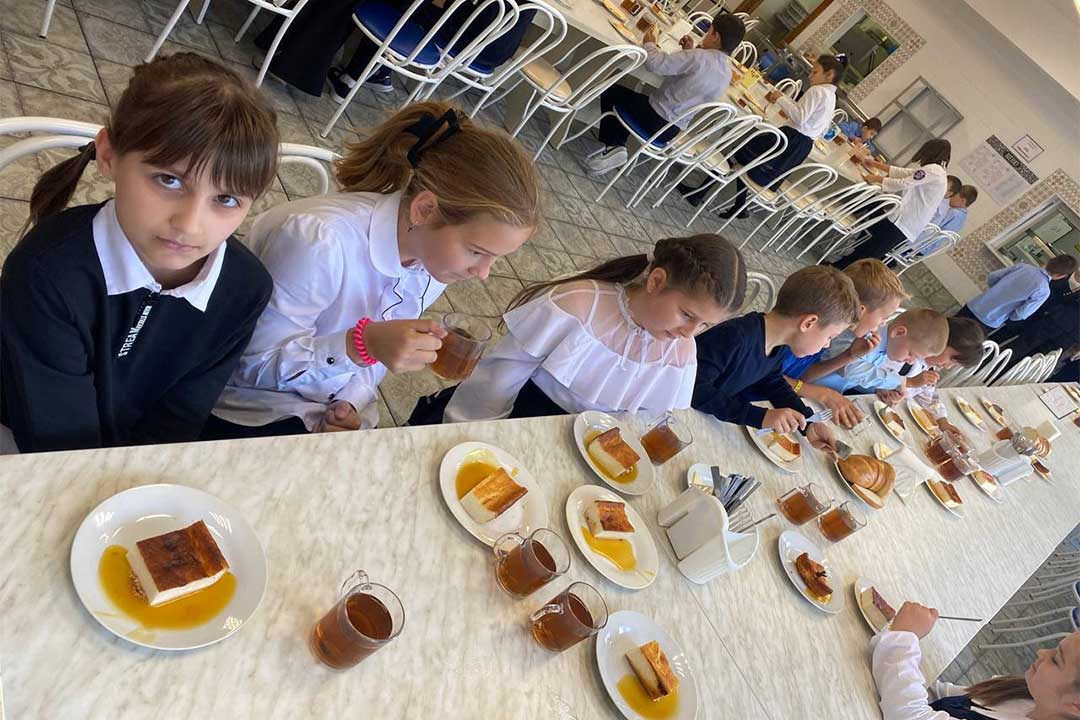 gzhelskoe proverka pitaniya school 2
