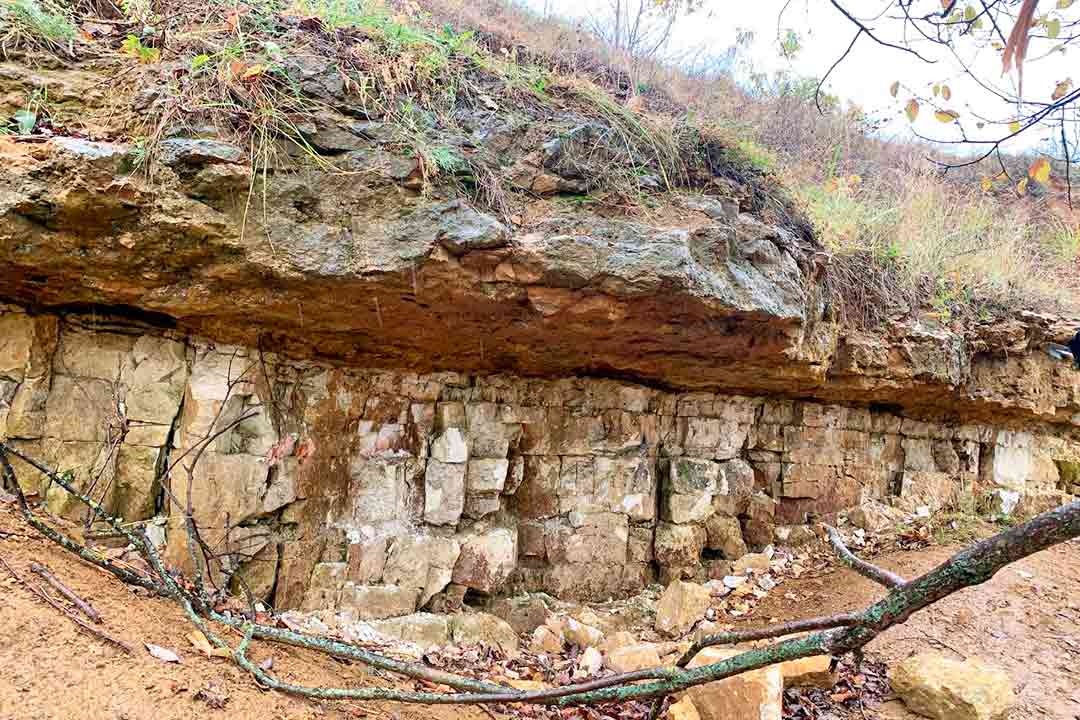 gzhelskoye slet unyh geologov 1