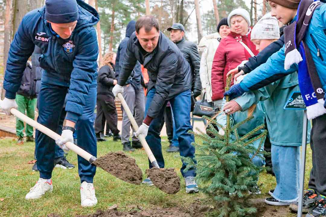 4 november posadka derevev 2