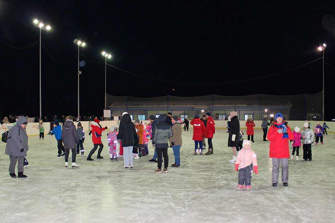 novoharit glava 12