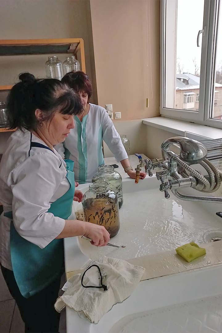 centr piyavki 3
