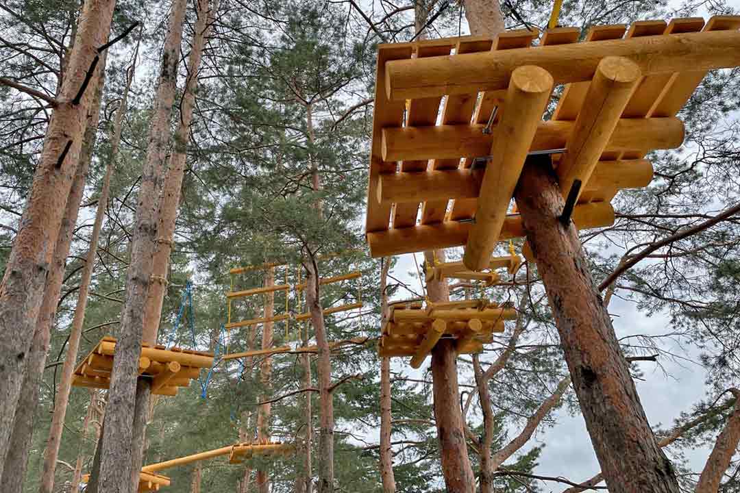 praim park gidra 2
