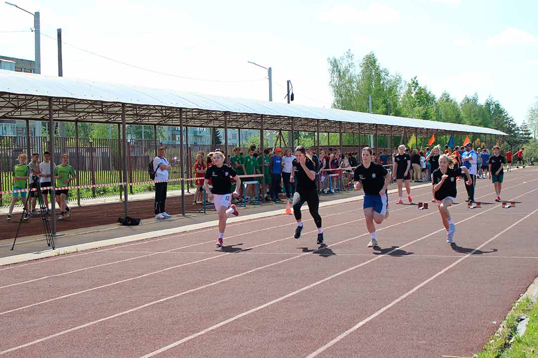 novohariton sport igry 6