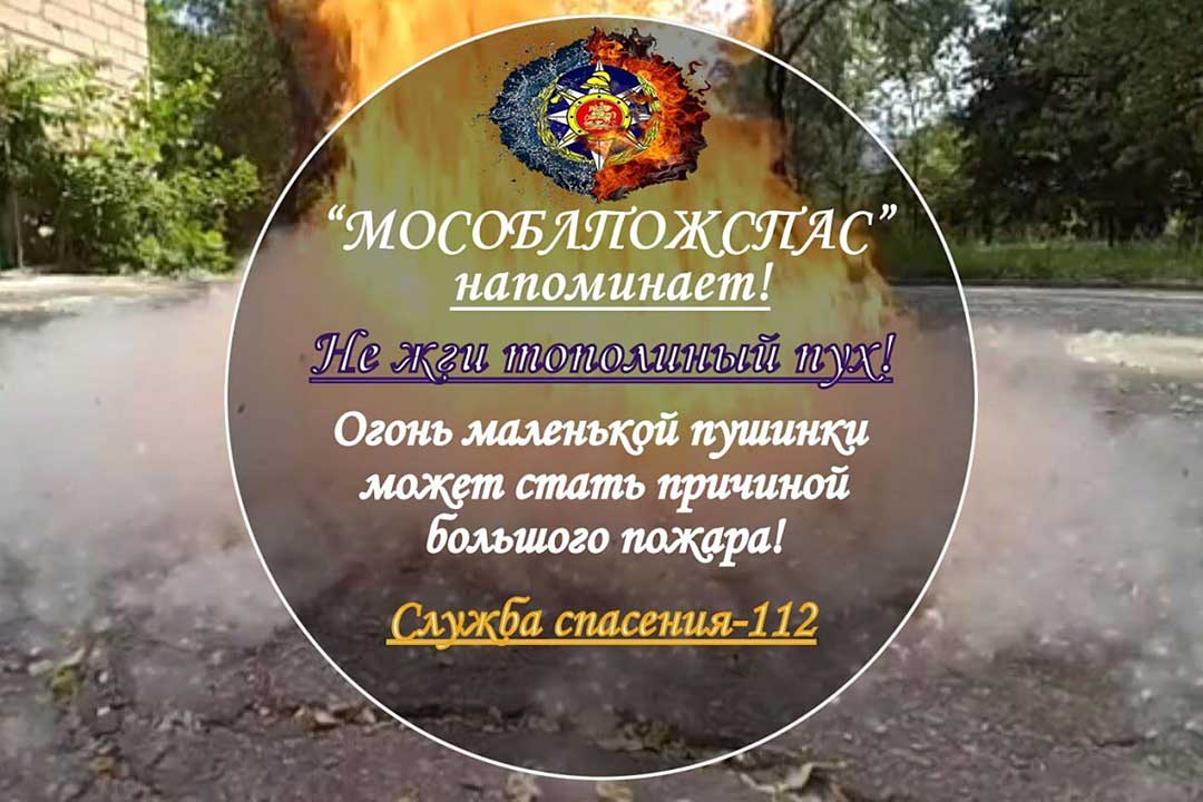 poj spas topoliniy puh 1