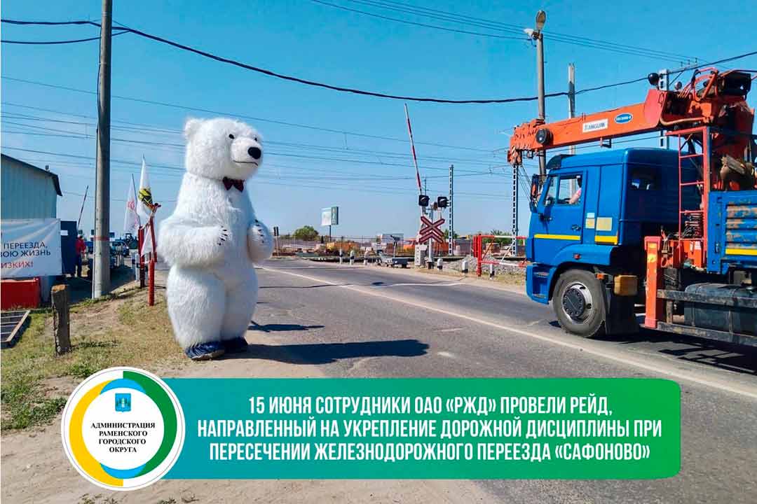 reyd rjd safonovo 1