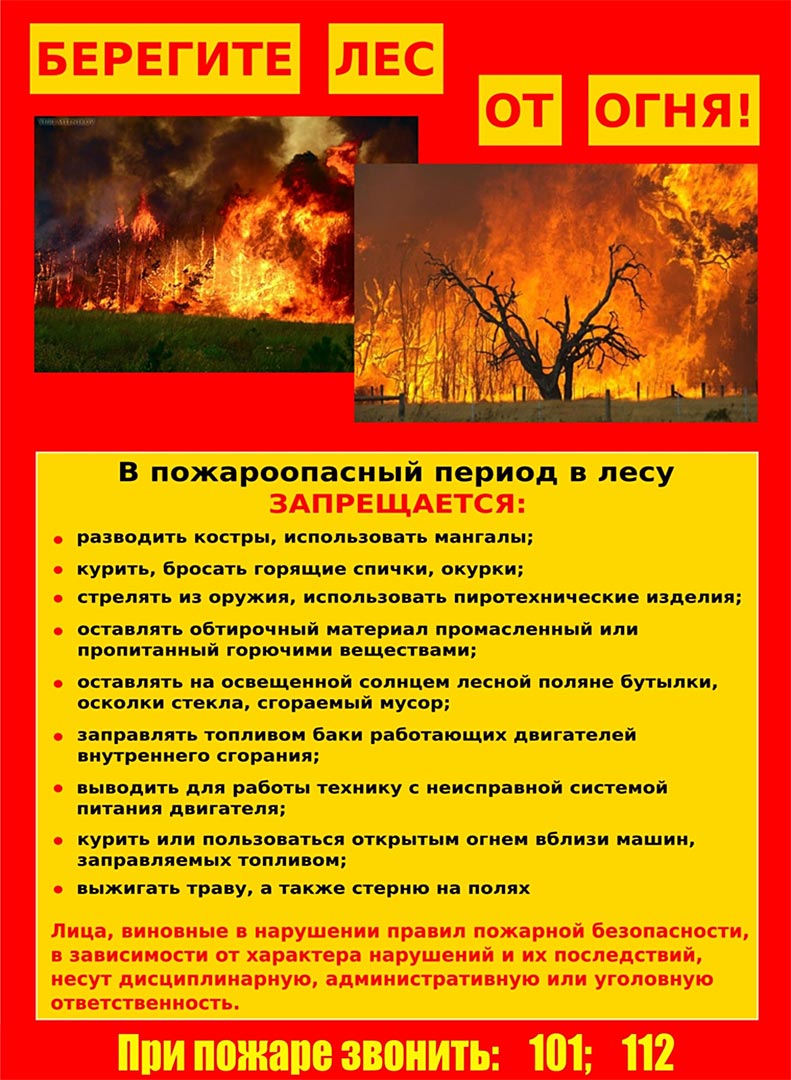 pamyatka pojar les 3