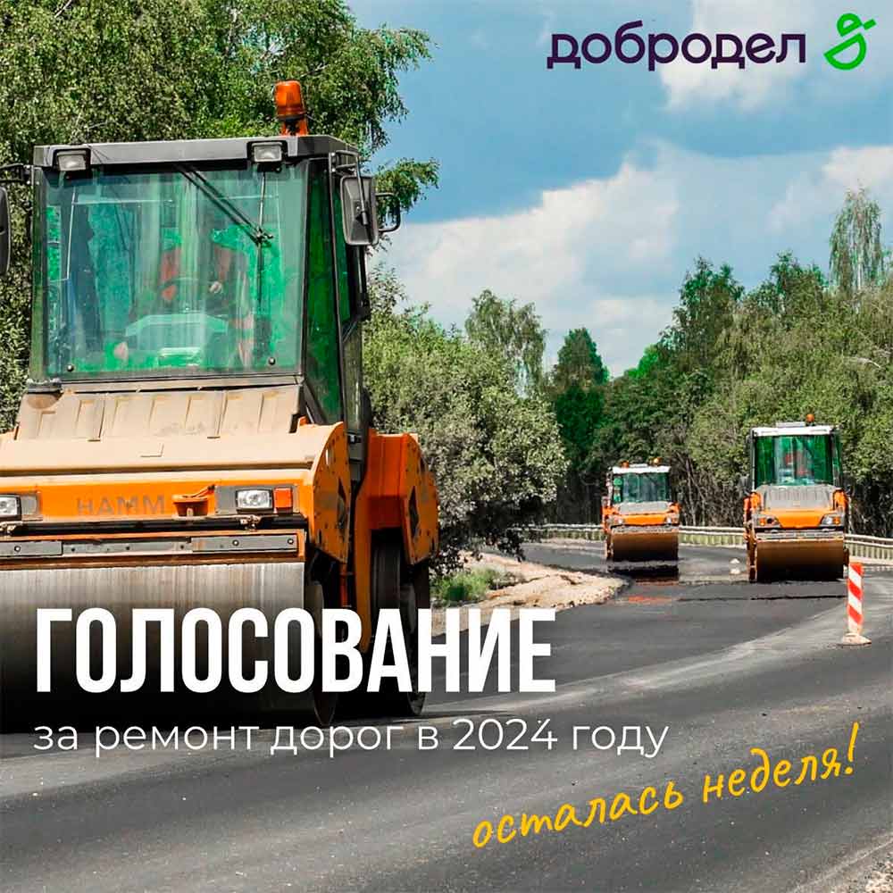 golosovanie remont dorog 2024
