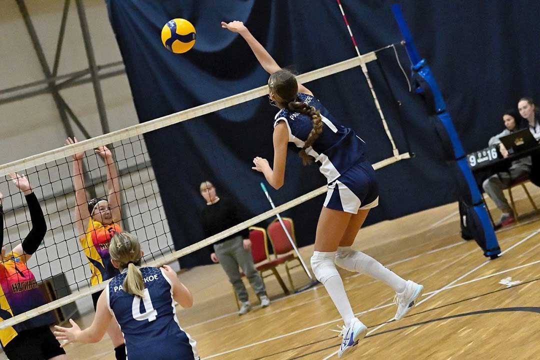 gold prizeri region voleyball 3