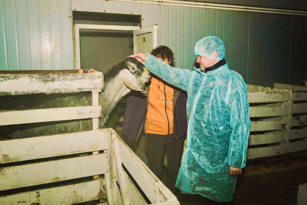 malyshev gzhelskoye podvorie 6