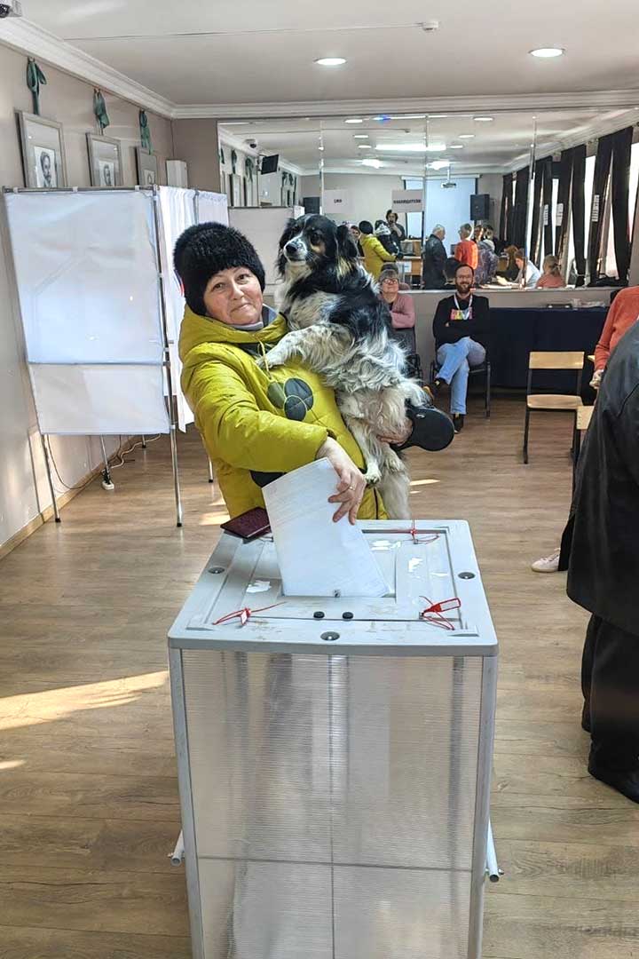 vtoroy den viborov 3 