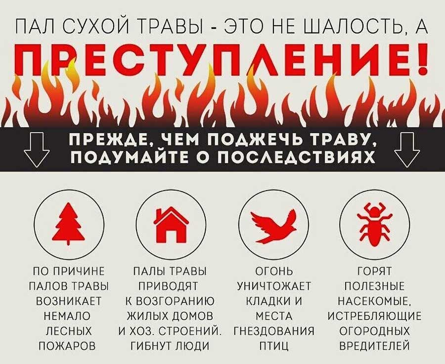 pojar pal travy posledstviya