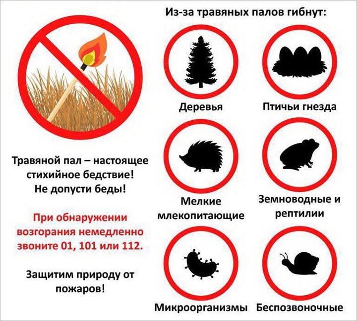 pojar pal travy stihiynoe bedstvie
