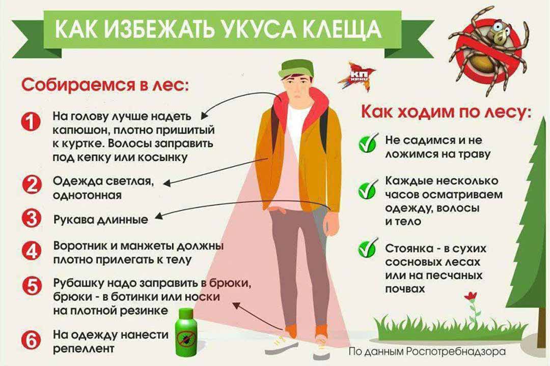 kak izbezhat ukusa klesha 1
