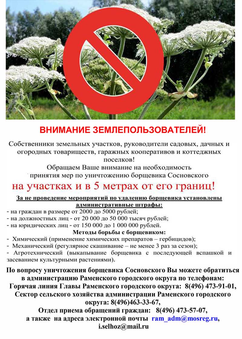 2 ВНИМАНИЕ ЗЕМЛЕПОЛЬЗОВАТЕЛЕЙ борщевик