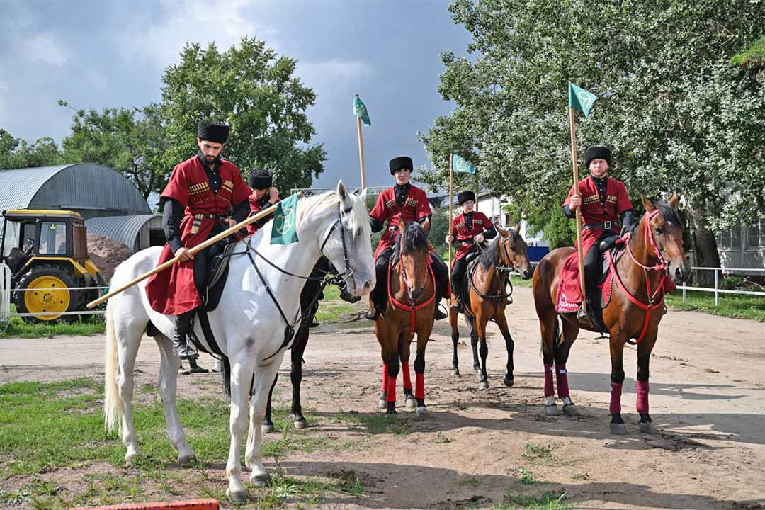 ippodrom prazdnik orlovskogo konnozavod 7