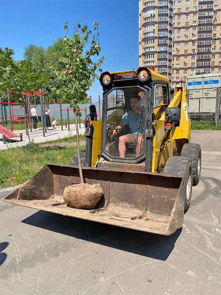 ozelenenie severka 7