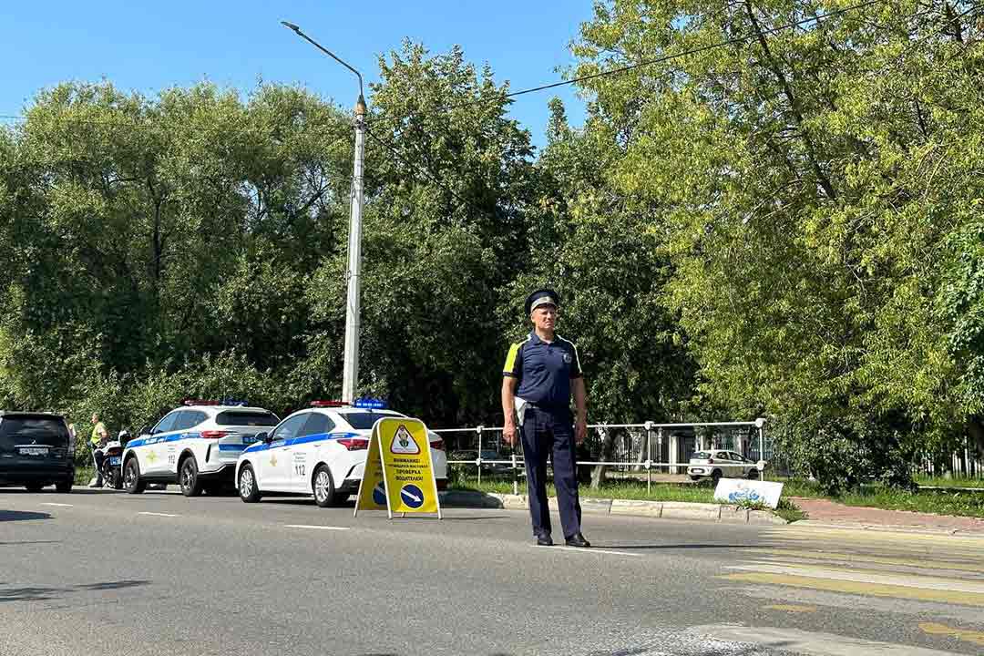 gibdd rebenok passajir 8