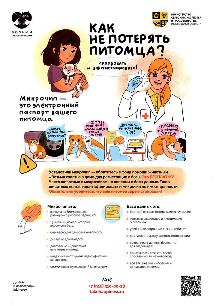 chipirovanie zhivotnogo