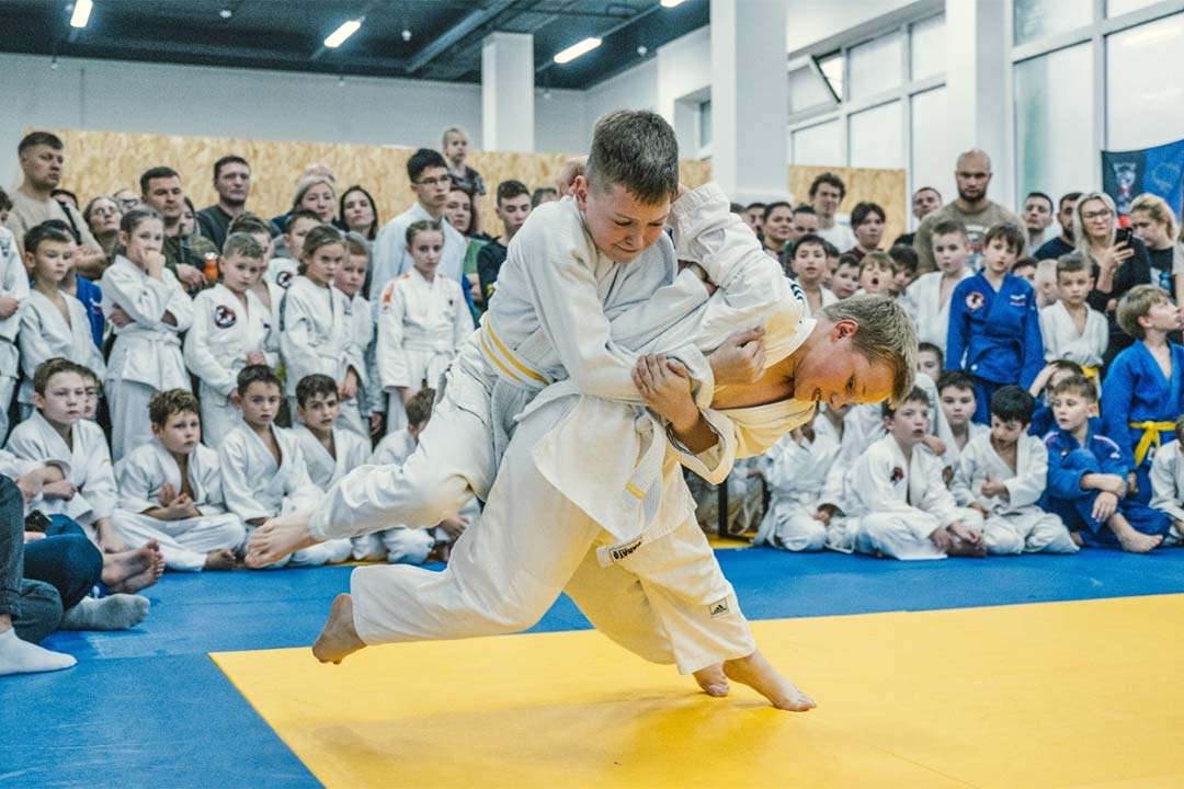 Dzudo alimpi 3