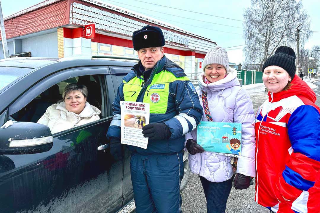 gibdd rebenok passagir peshehod 20.02 5