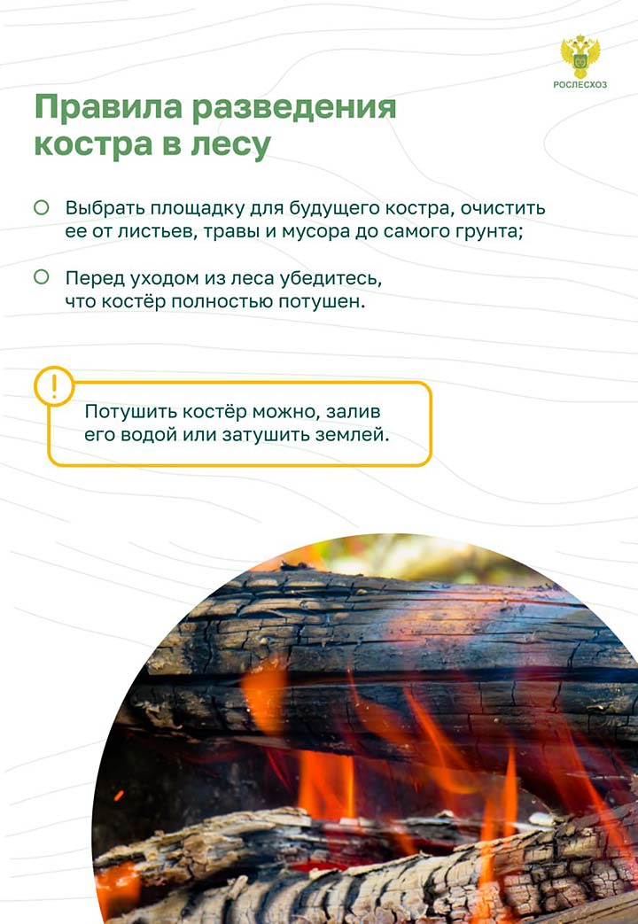 pozhar les nakazanie kartinki 3