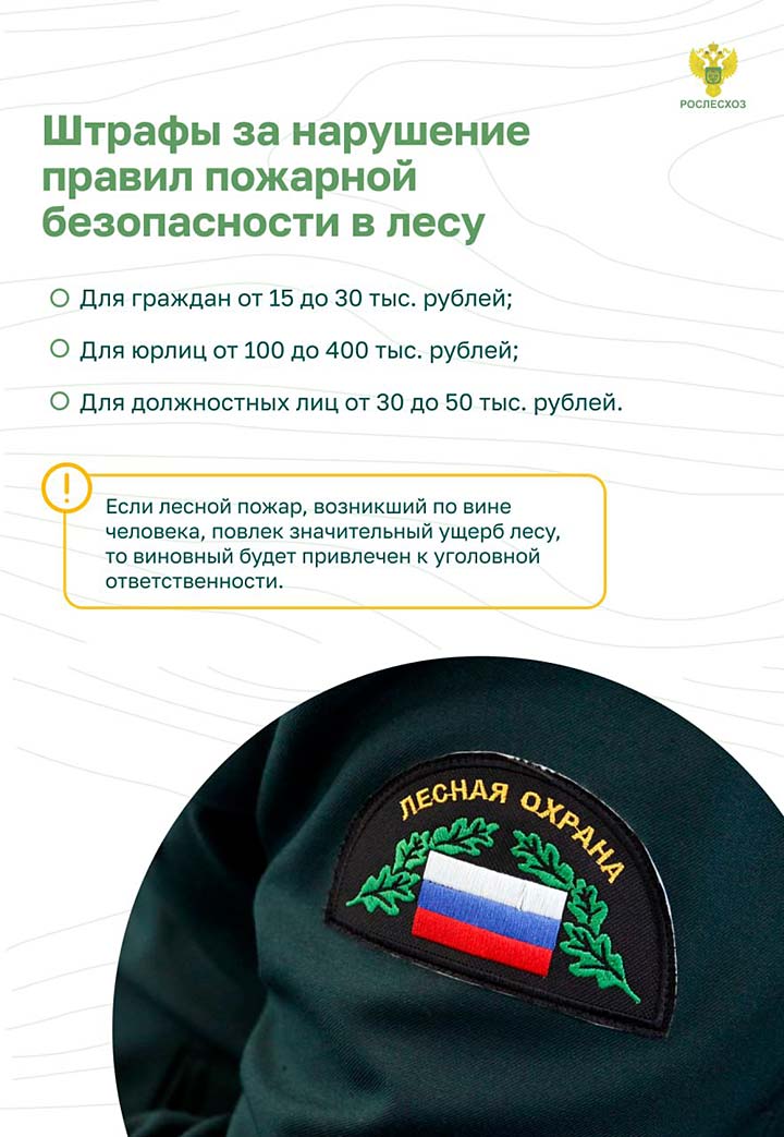 pozhar les nakazanie kartinki 5
