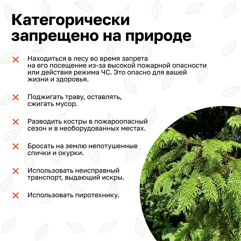 prirodnie pozhari kartinki 6
