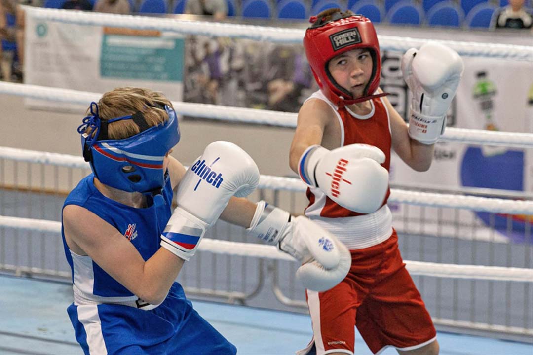 Box BorisoGlebsk 2