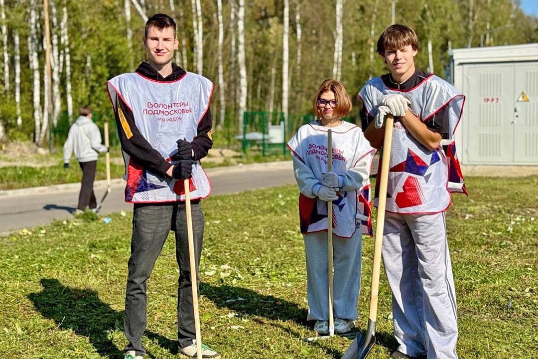 Subotnik 5