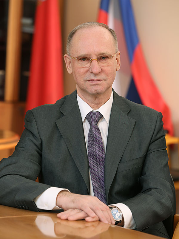 ДЕМИН<br>Владимир Фёдорович
